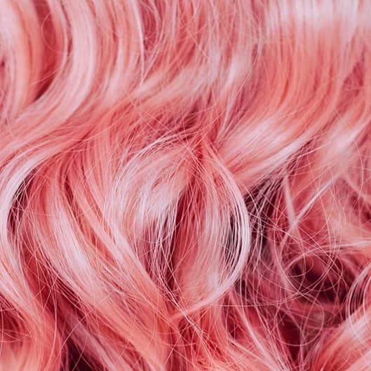 Blowout package at Eden & Co. in Dahlonega, GA